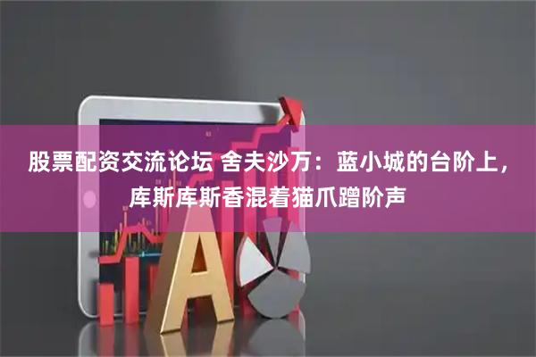 股票配资交流论坛 舍夫沙万：蓝小城的台阶上，库斯库斯香混着猫爪蹭阶声